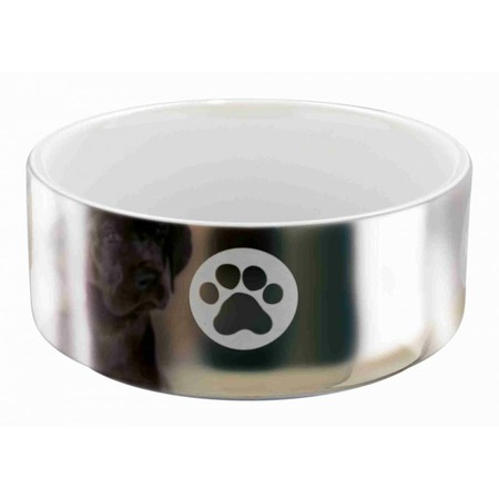 Миска Trixie для собак керамическая 0,3 л/ø12 см серебряно-белая с рисунком  Превью