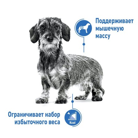 Royal Canin X-Small Light Weight Care сухой корм для взрослых собак мелких пород до 4 кг Дополнительное Превью